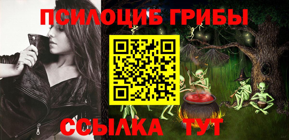 Псилоцибиновые грибы Psilocybe  Псилоцибиновые грибы MAGIC MUSHROOMS  Беслан  купить  сайты  Вход с VPN 