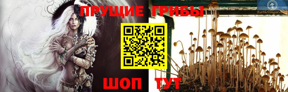 Псилоцибиновые грибы Magic Shrooms Беслан
